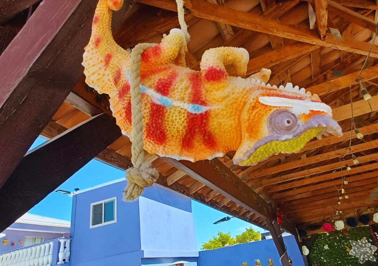Hotel Casa Victoria Puerto Peñasco Zewnętrze zdjęcie